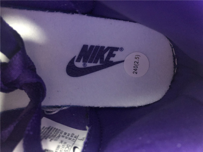 Nike Dunk High WMNS Varsity Purple DC5382-100