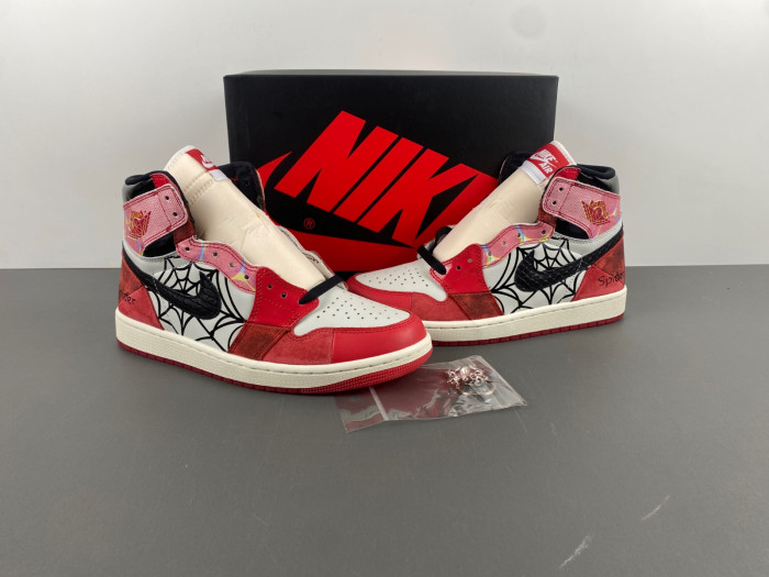 Air Jordan 1 Retro High OG SP DV1748-601